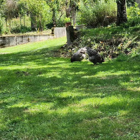 Le Cledon