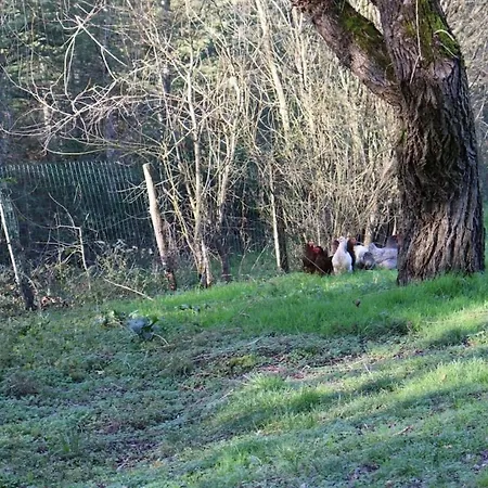 Le Cledon Holiday home Esparsac