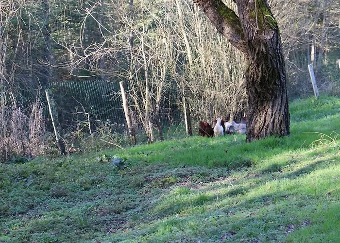 Le Cledon Tatil Evi Esparsac